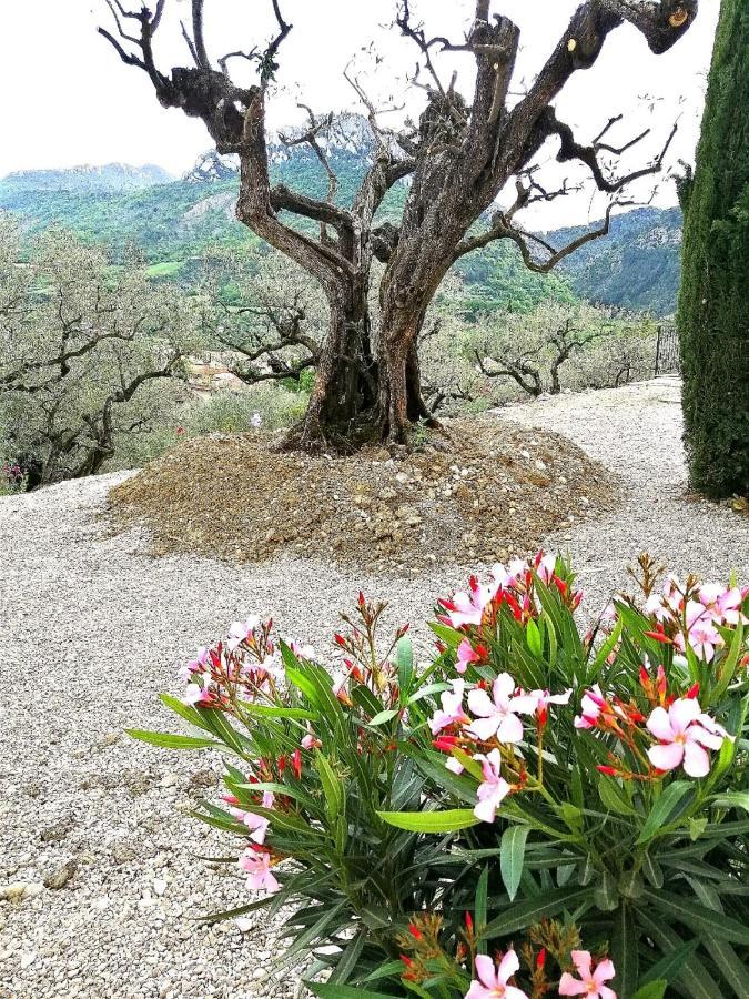 Le Mas Christiane Buis-les-Baronnies Luaran gambar