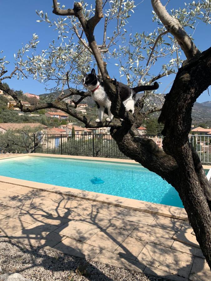 Le Mas Christiane Buis-les-Baronnies Luaran gambar